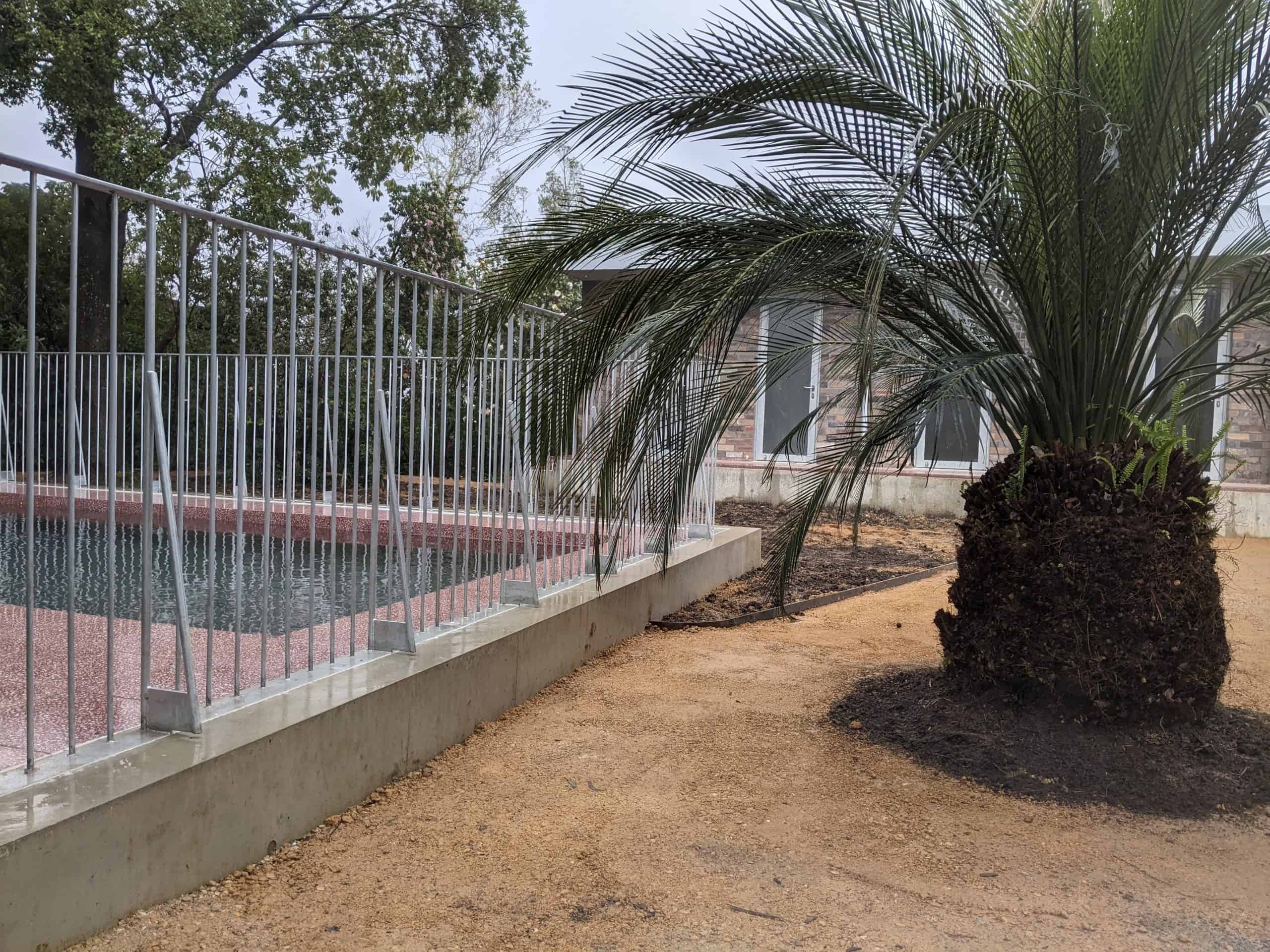 keenworx pool fence cahill with palm tree fabrication